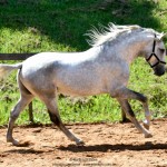 Quintius Interagro/Martina Brandes