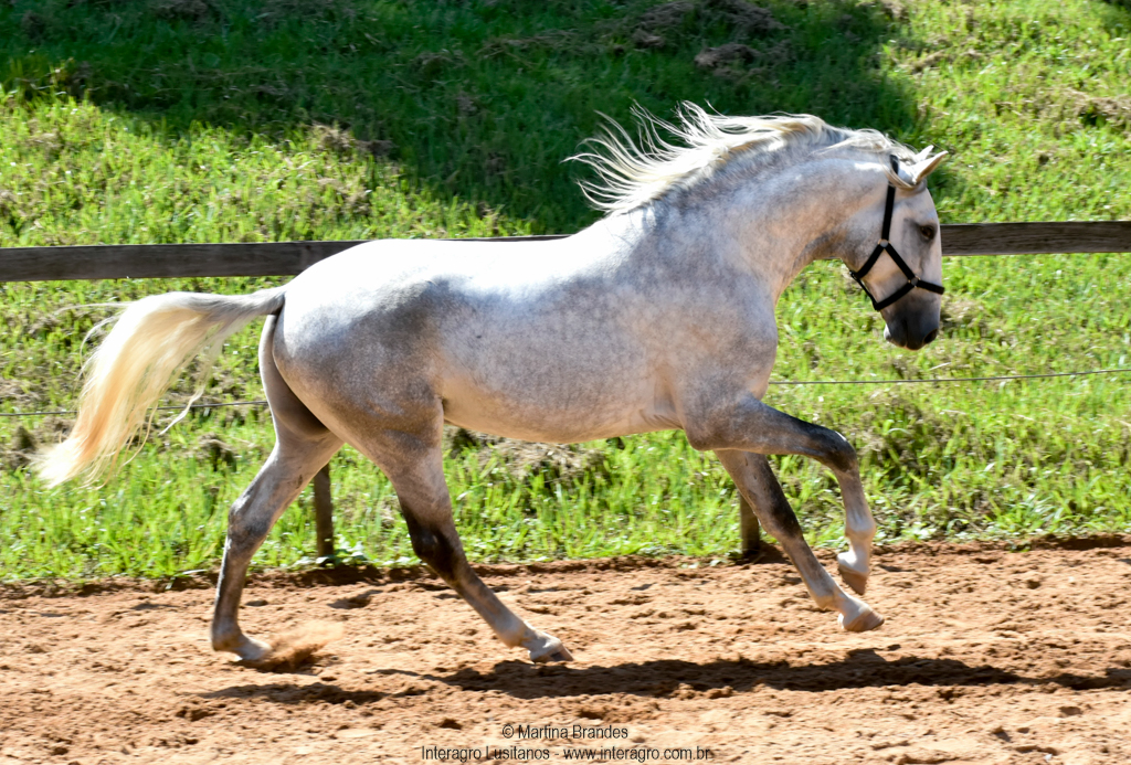 Quintius Interagro/Martina Brandes
