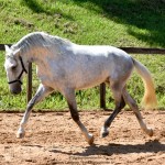 Quintius Interagro/Martina Brandes