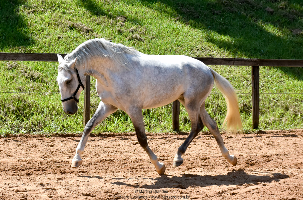 Quintius Interagro/Martina Brandes