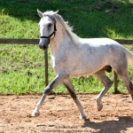 Quintius Interagro/Martina Brandes