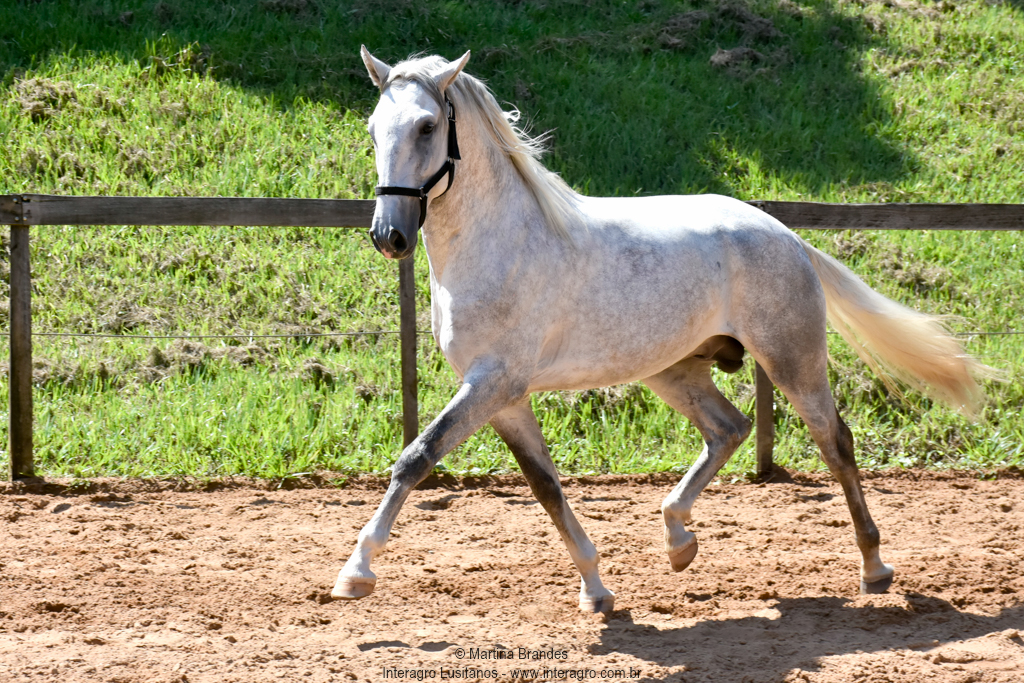 Quintius Interagro/Martina Brandes