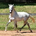Quintius Interagro/Martina Brandes