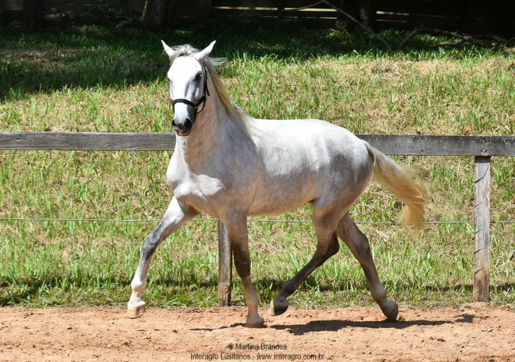 Quintius Interagro/Martina Brandes