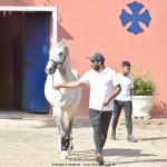 Quintius Interagro/Martina Brandes