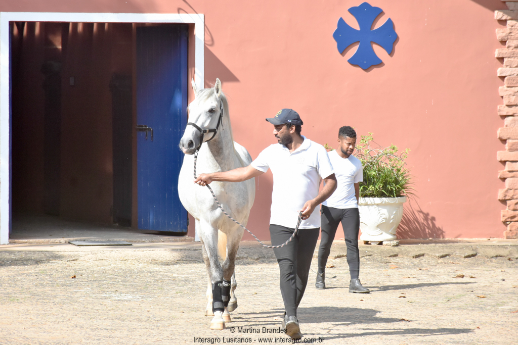Quintius Interagro/Martina Brandes