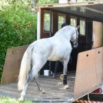 Quintius Interagro/Martina Brandes