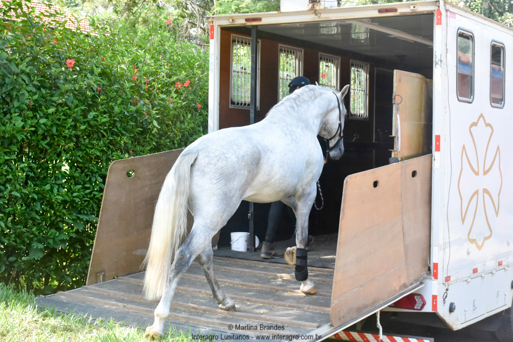 Quintius Interagro/Martina Brandes