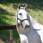 Quintius Interagro/Martina Brandes