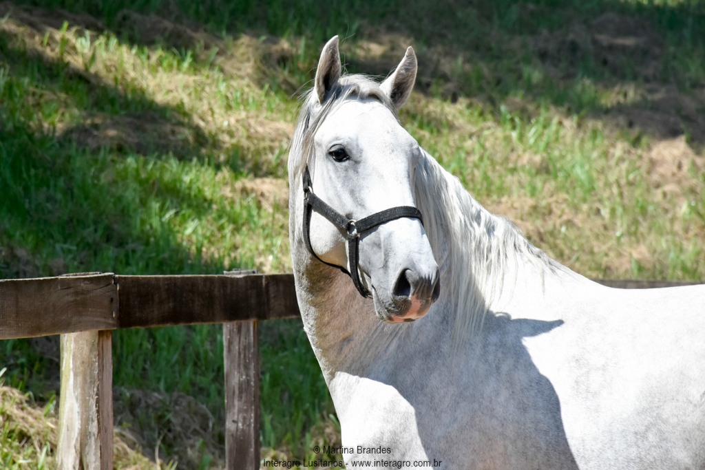 Quintius Interagro/Martina Brandes