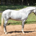 Quintius Interagro/Martina Brandes