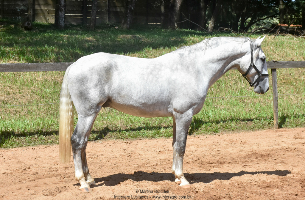 Quintius Interagro/Martina Brandes