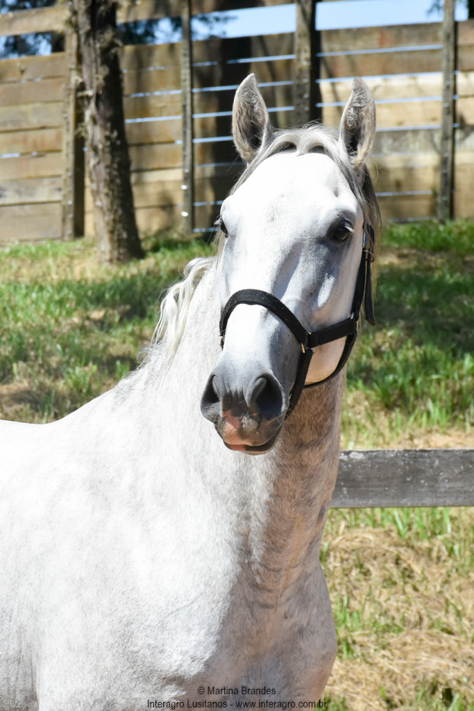 Quintius Interagro/Martina Brandes