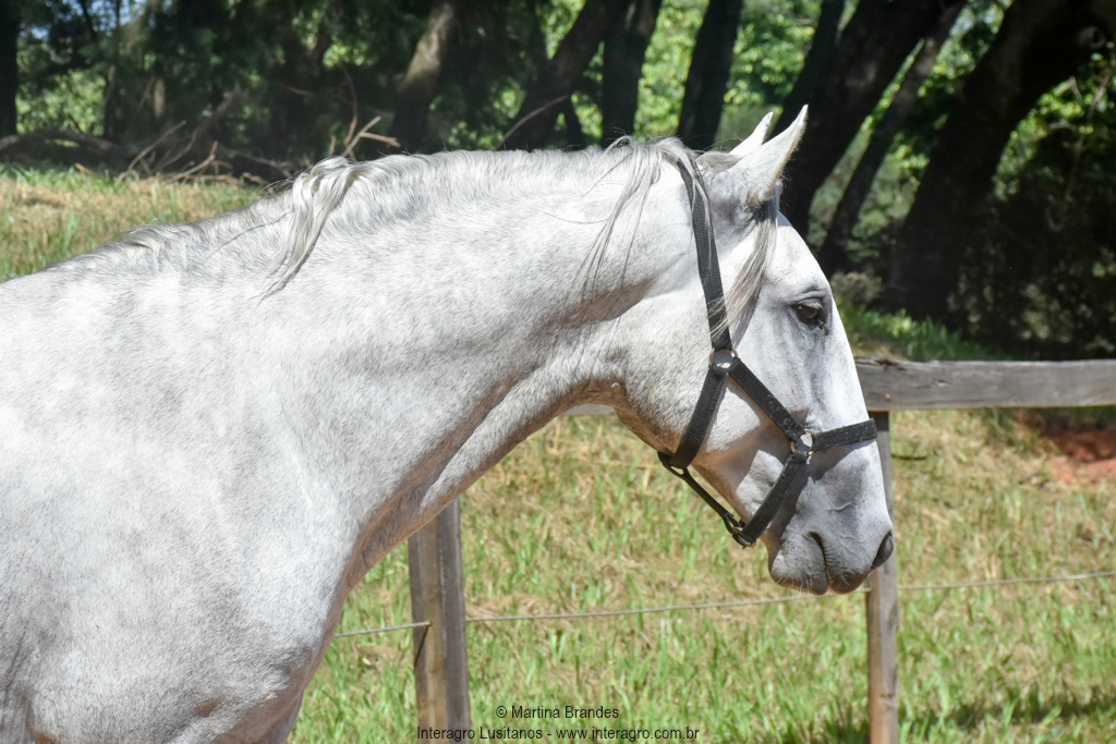 Quintius Interagro/Martina Brandes