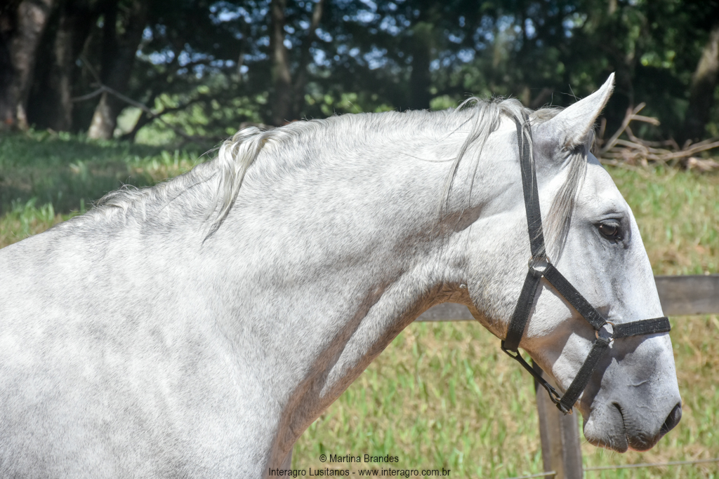 Quintius Interagro/Martina Brandes