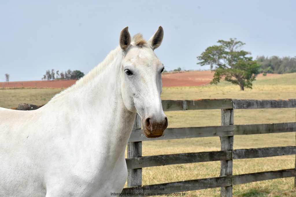 Quinzana Interagro/Martina Brandes