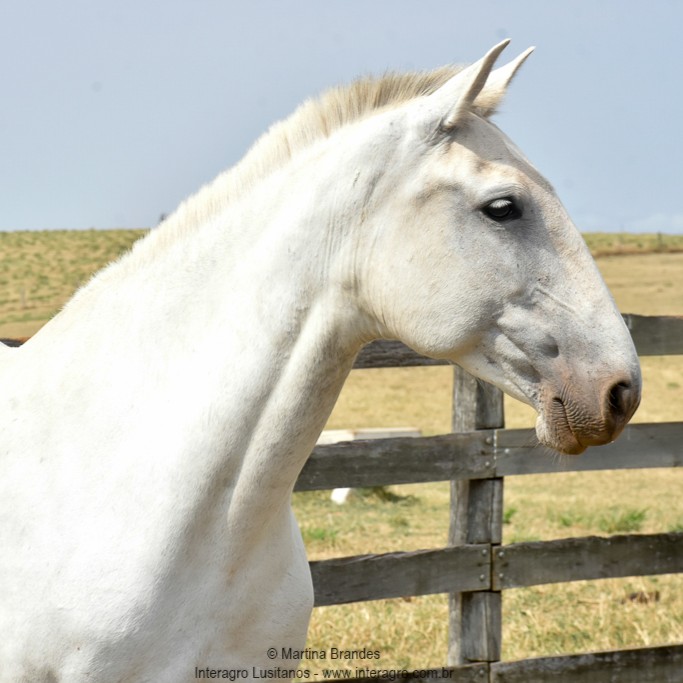 Quinzana Interagro/Martina Brandes