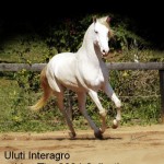 Uluti Interagro/Johnny Duarte