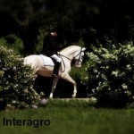 Uluti Interagro/Johnny Duarte