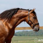 Soalheiro Interagro/TUPA