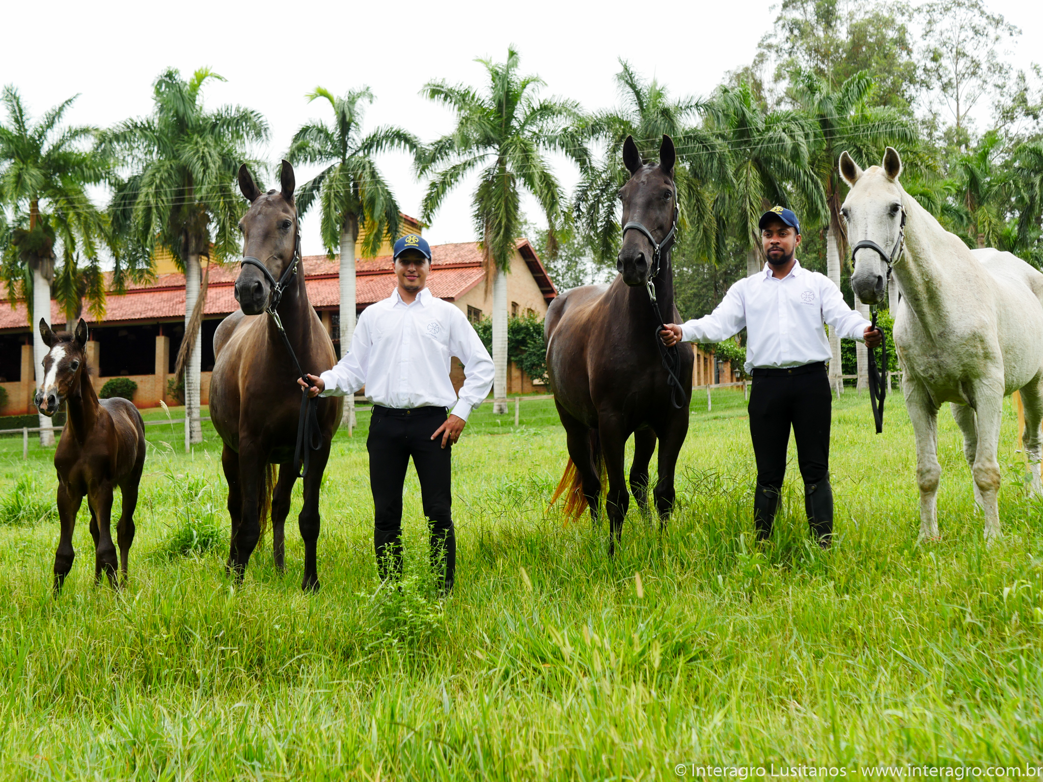 The 4 generations: Samos Interagro, her dam Fenicia Intereagro, gradmom Abdera Interagro and great grandmom Ociosa Interagro