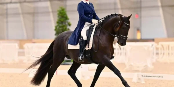 Interagro Horses Deliver Standout Performances at WEC Dressage, Earning Championship Qualifiers and Promising Young Horse Scores